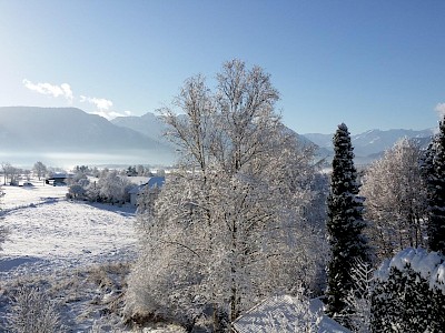 Blick aufs Moos im Winter