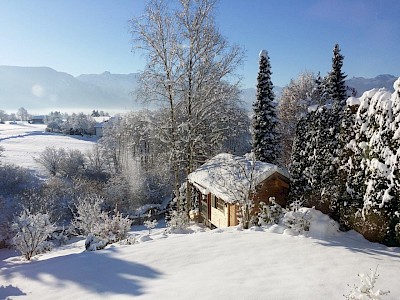 Garten im Winter