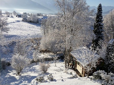 Der Garten im Winter