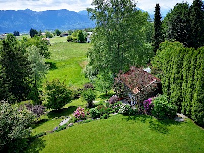Der Garten im Sommer