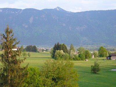 Moos und Berge