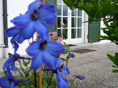 Blumen auf der Terasse